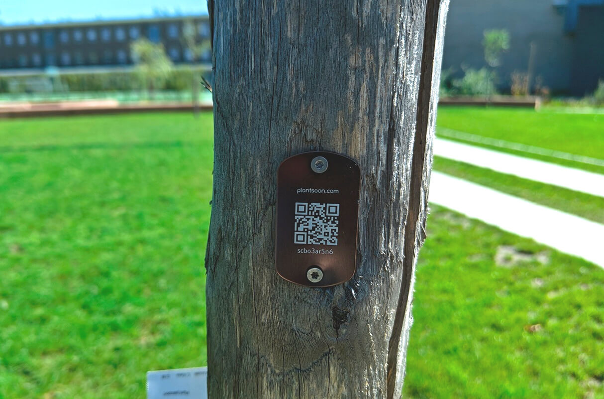 Small, durable, and weatherproof tree tags Small, durable, and weatherproof tree tags